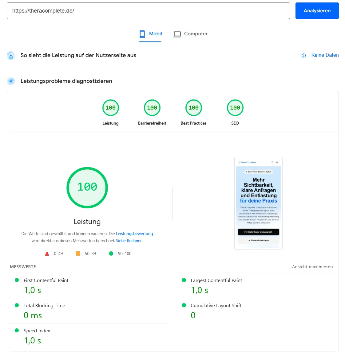 Website Performance und Qualität von TheraComplete
